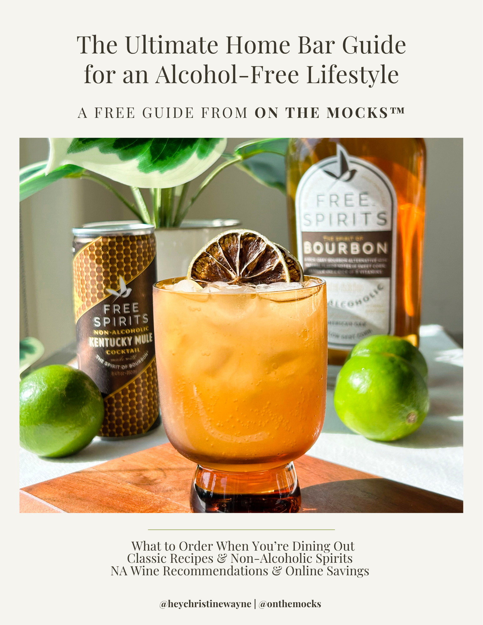 On the Mocks Ultimate Home Bar Guide for Living Alcohol-free